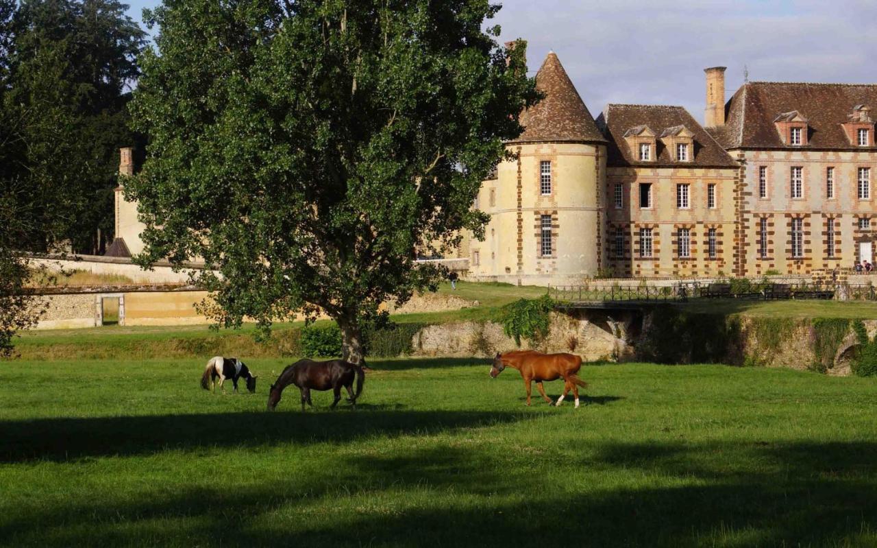 Chateau De La Riviere Pontgouin Экстерьер фото